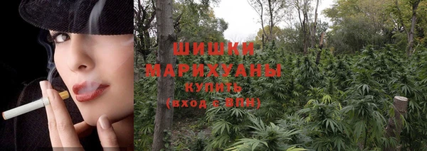 бошки Кущёвская